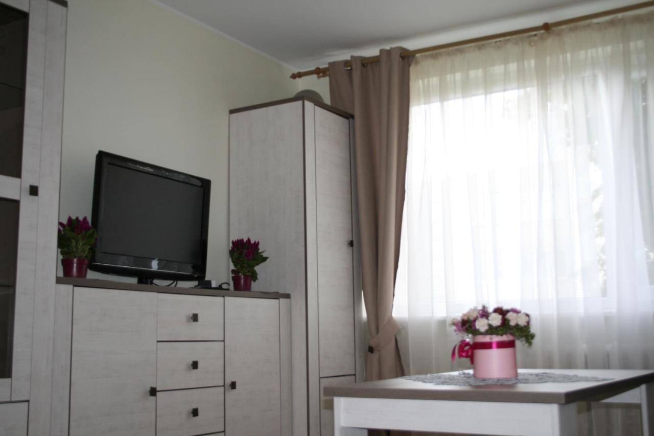 Cosy One Room Apartment فيلنيوس المظهر الخارجي الصورة