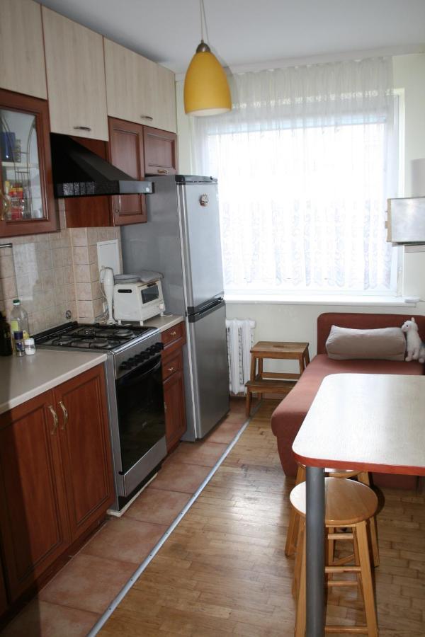 Cosy One Room Apartment فيلنيوس المظهر الخارجي الصورة