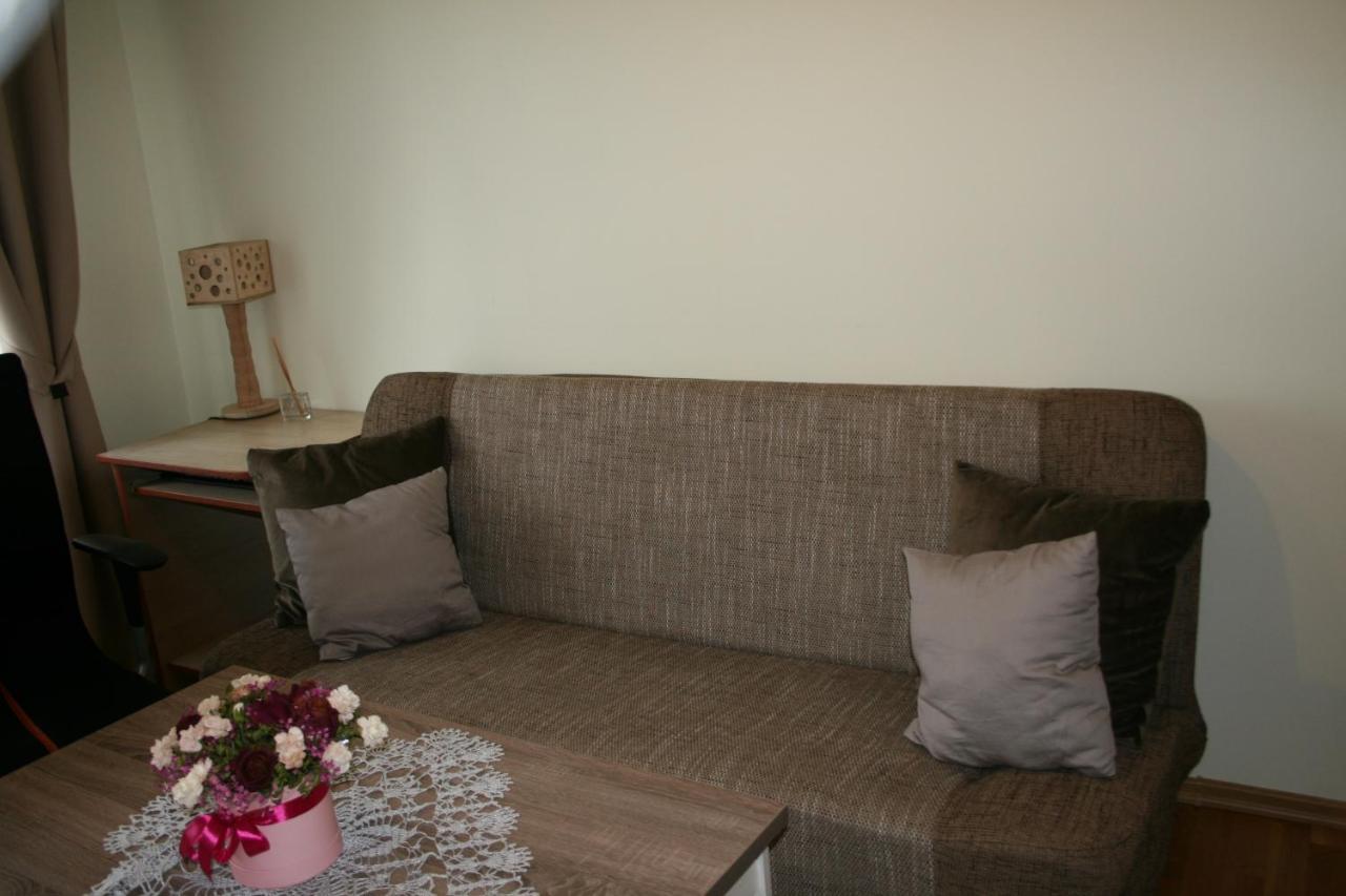 Cosy One Room Apartment فيلنيوس المظهر الخارجي الصورة