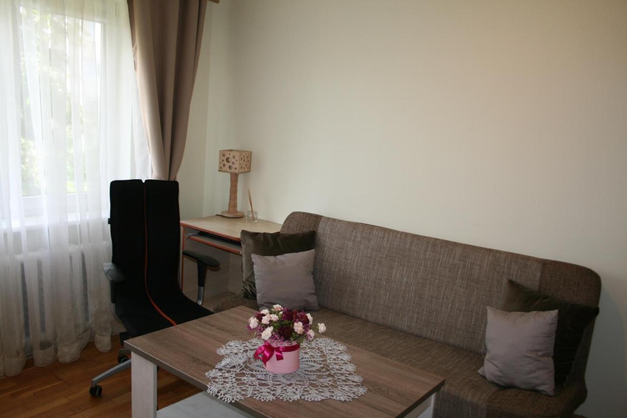 Cosy One Room Apartment فيلنيوس المظهر الخارجي الصورة