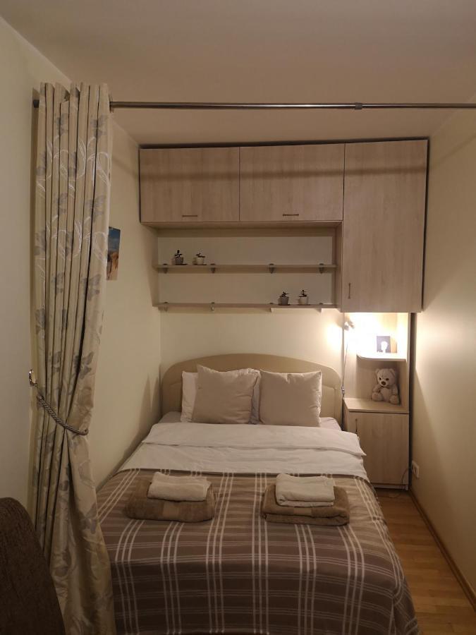 Cosy One Room Apartment فيلنيوس المظهر الخارجي الصورة